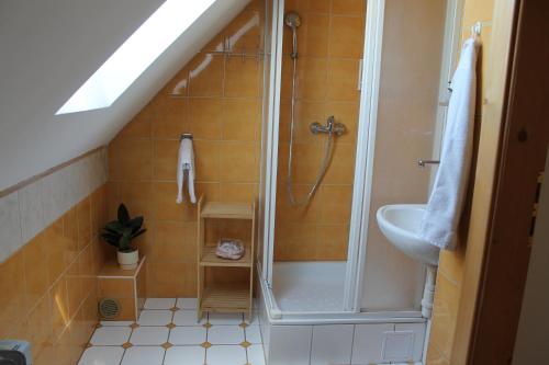 a bathroom with a shower and a sink at Vilka Tkáč in Kvačany