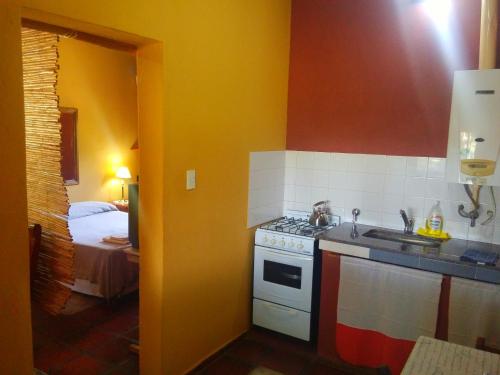 a small kitchen with a stove and a sink at Cabañas Altos del Velazco in La Rioja