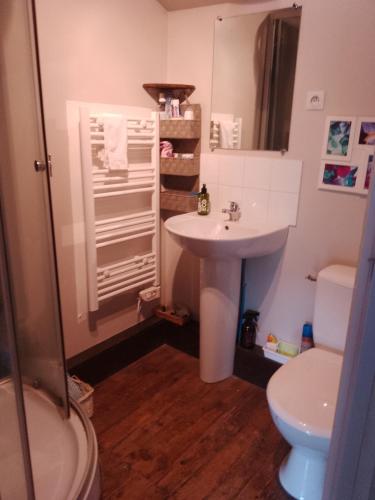 a bathroom with a sink and a toilet at 43 Rue des Quarts in Ménesplet