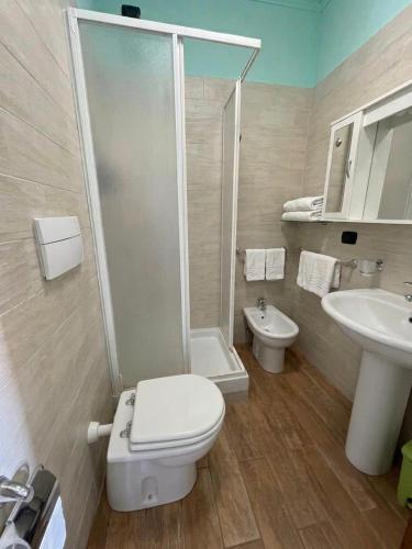 a bathroom with a toilet and a shower and a sink at Agriturismo Montebeltrano in Paterno Calabro