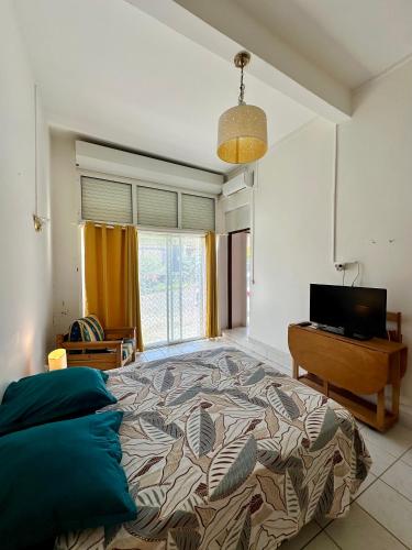 a bedroom with a large bed and a television at Studio Café & Studio Cacao in Îlet à Christophe