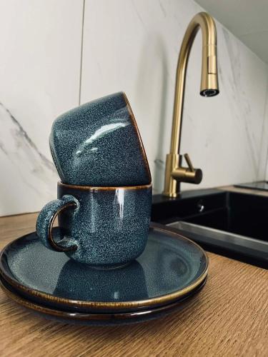 a black coffee cup sitting on a plate on a kitchen counter at ApartamentyM&K in Balice