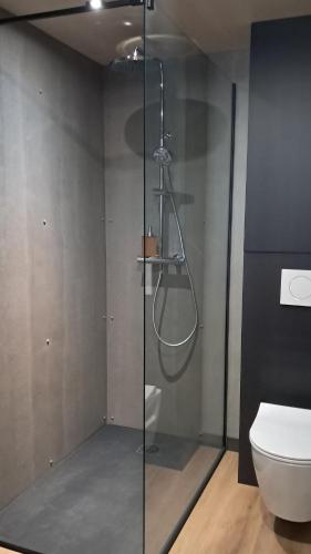 a glass shower in a bathroom with a toilet at Chalet Villerest in Villerest