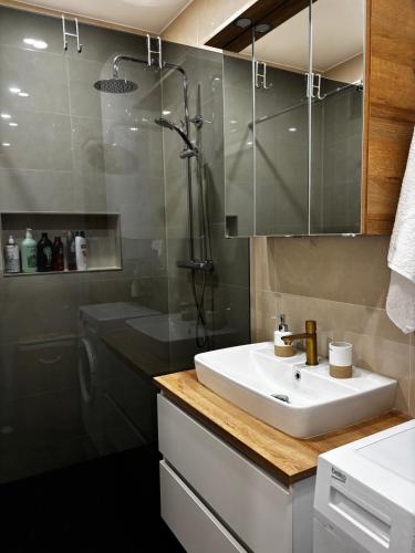 a bathroom with a sink and a shower at Wien an Donau in Vienna