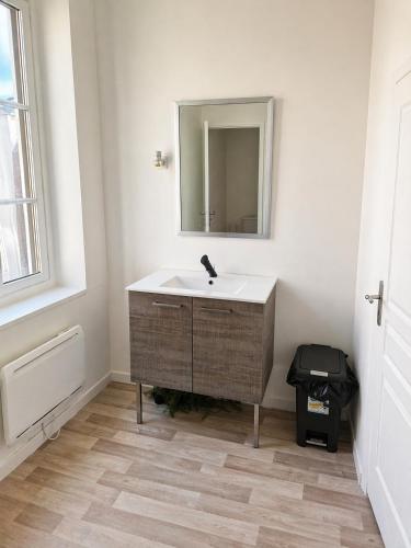 a bathroom with a sink and a mirror at Studio tout équipé calme et lumineux Roubaix in Roubaix