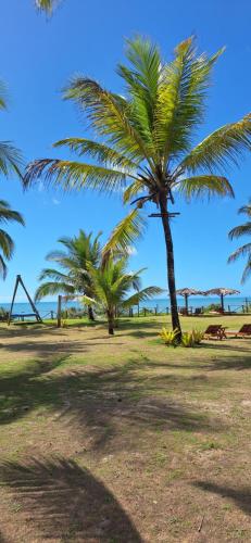 a park with palm trees and a playground at Pousada Safyra in Caraíva