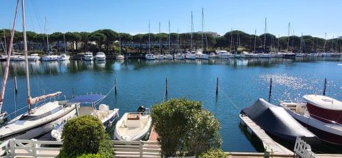 Marina Lairan View of the water and boats in Port Camargue 2 stars F