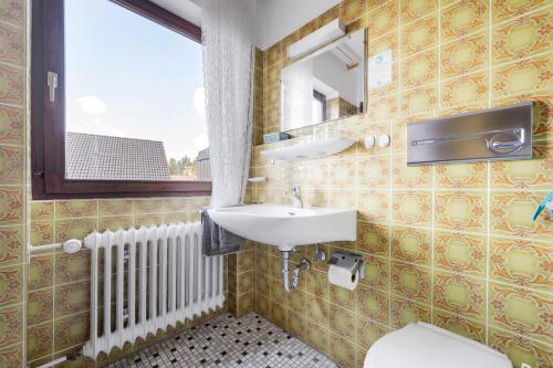 a bathroom with a sink and a mirror and a toilet at Gästehaus Brigitte in Freudenstadt