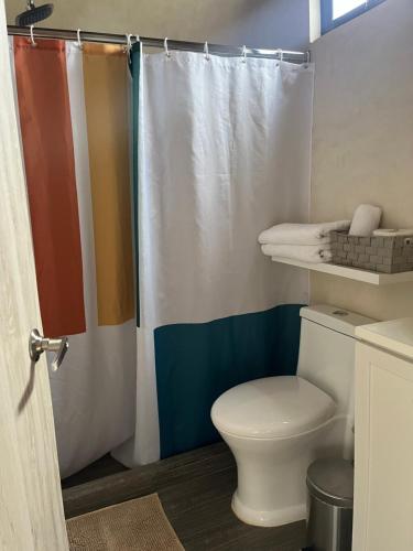 ein Badezimmer mit Toilette und Duschvorhang in der Unterkunft Cabañas romanticas in Pachuca de Soto