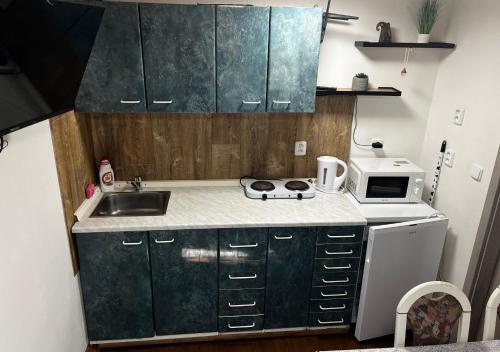 a small kitchen with a sink and a microwave at Chatička u Perniců in Jedovnice
