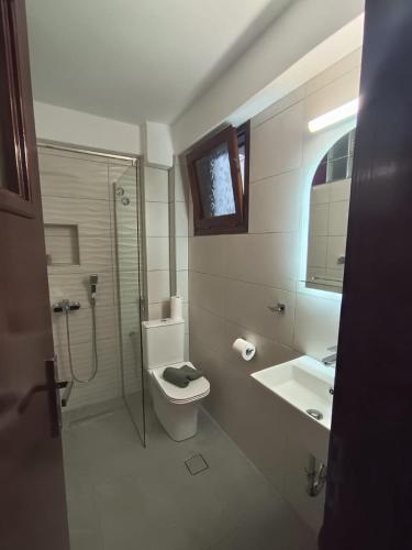 a bathroom with a shower and a toilet and a sink at Studios Loukia in Kokkari