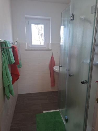 a bathroom with a shower with a sink and a window at Ferienwohnung Egbert in Weißwasser