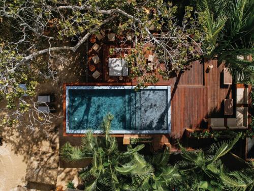 an overhead view of a swimming pool with trees at Palmar Beach Lodge in Bocas Town