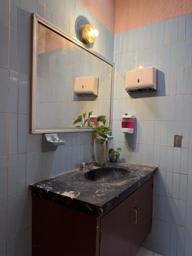 a bathroom with a sink and a mirror at Hostal Punto Americana in Guadalajara