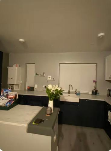 a kitchen with a sink and a vase of flowers at Big Town Charm in Drogheda