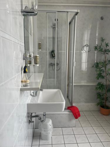 a white bathroom with a sink and a shower at Weißes Roß Crossen in Ahlendorf