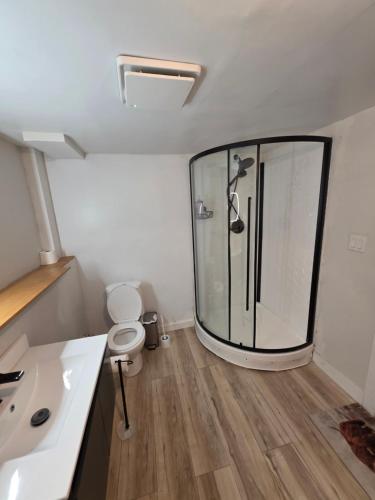a bathroom with a shower with a toilet and a sink at Garden City-Private 1BR Full Apt in Halifax