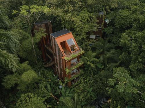 an overhead view of a tree house in the forest at Palmar Beach Lodge in Bocas Town