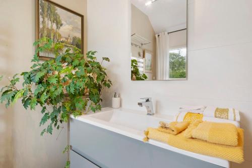 a bathroom with a white sink and a mirror at Au Fil De L'eau - Chambre d'hôtes in Guipavas