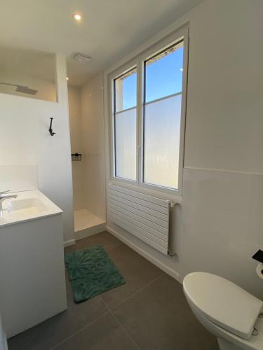 a bathroom with a toilet and a window at Gite La Forge in Rochecorbon