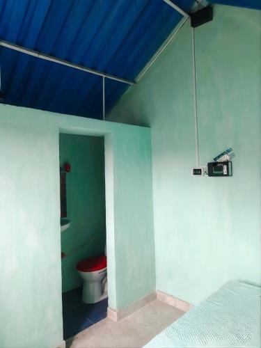 a bathroom with a toilet and a blue ceiling at cabañas de descanso in Anolaima