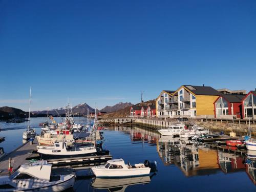 a bunch of boats are docked in a marina at Karlotte's apartment in Ballstad