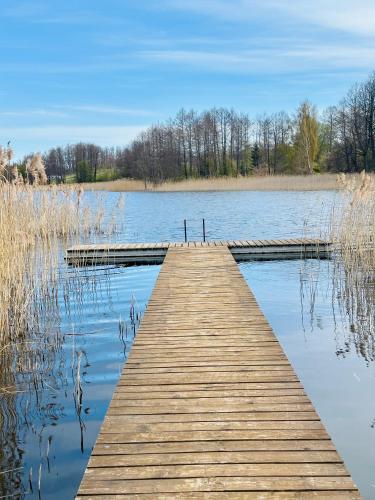 a wooden dock in the middle of a lake at Podlaski Chill in Przejma Wielka