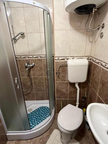 a bathroom with a shower with a toilet and a sink at Agniya in Seoca