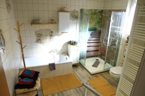 a bathroom with a shower and a toilet at Ferienwohnung-Brenda in Wolfshagen