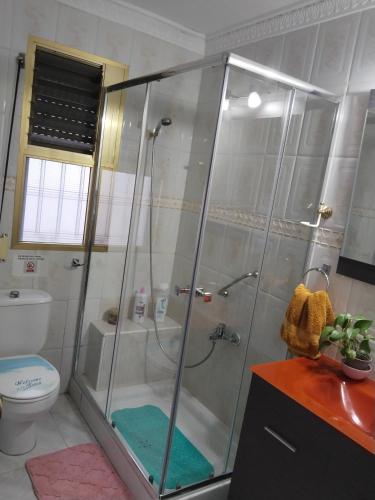 a bathroom with a shower and a toilet at Disfruta de un barrio tranquilo in Alcalá de Guadaira