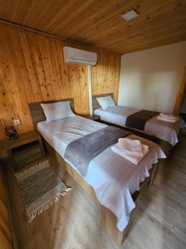two beds in a room with wooden walls at Вила ДАР in Gara Oreshets