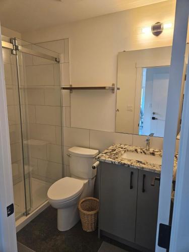 a bathroom with a toilet and a sink and a shower at Fernie Alpine Retreat in Fernie