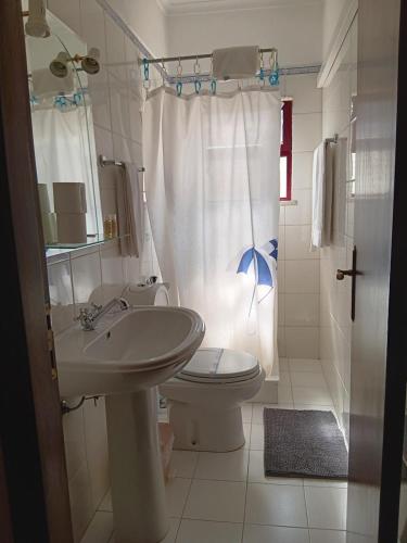 a bathroom with a sink and a toilet and a shower at Apart. Av. António Feijó in Ponte de Lima