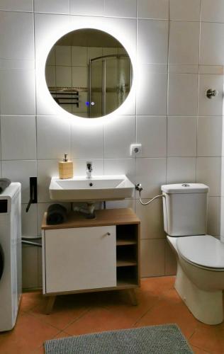 a bathroom with a toilet and a sink and a mirror at Ferienwohnung KönigSonne in Lauda-Königshofen