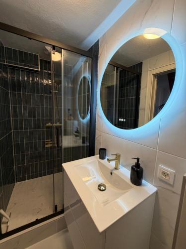 a bathroom with a sink and a shower with a mirror at Le charmant Duplex de la Bibliothèque - Vélos Friendly- Centre historique et proche Europa-Park in Sélestat