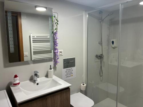a bathroom with a sink and a shower at Casa Os Lindeiros in Arzúa