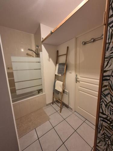 a bathroom with a shower and a towel rack next to a door at Le Cocon Litois in Lit-et-Mixe