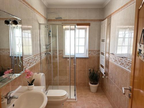 a bathroom with a shower and a toilet and a sink at Vivenda Godinho in Nazaré