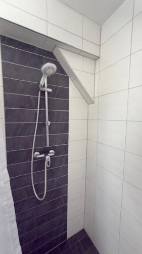 a shower in a bathroom with blue and white tiles at Hotel Alden in Aldenhoven