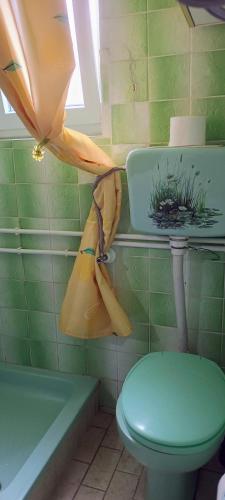 a green tiled bathroom with a toilet and a bag at Kuca za odmor Zicanka in Kraljevo