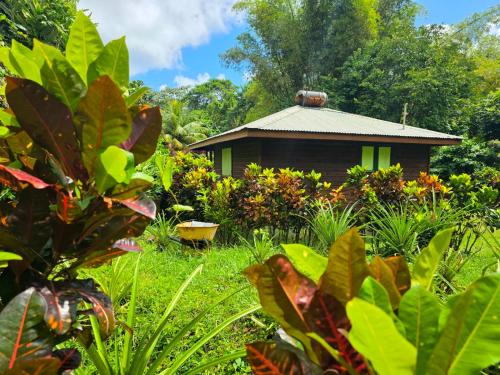 a garden with a small house in the background at 3 Rivers Eco Lodge in Rosalie