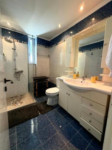 a bathroom with a sink and a toilet and a shower at Casa Verde in Marathias
