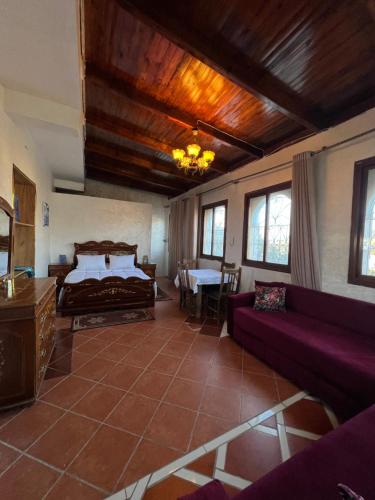 a living room with a bed and a couch at Olea Azul in Chefchaouen