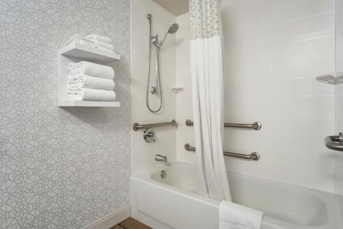 a bathroom with a shower and a bath tub with a shower at Hampton Inn Phoenix-Chandler in Chandler