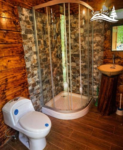 a bathroom with a shower and a toilet and a sink at Cerro Verde Glamping Cartago in Lourdes