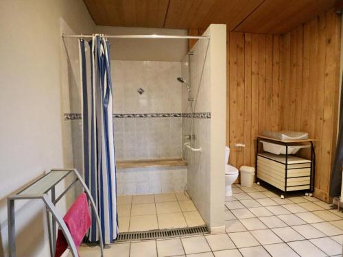 a bathroom with a shower and a toilet at Le GitAnne in Sourbrodt