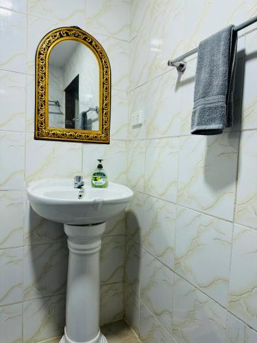 a bathroom with a white sink and a mirror at Nadi Holiday House in Nadi