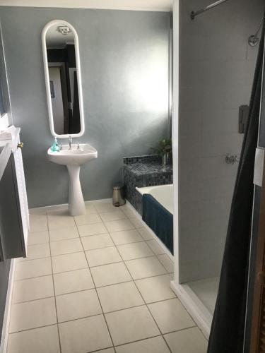 a bathroom with a sink and a mirror at Villa on Ferguson in Ipswich