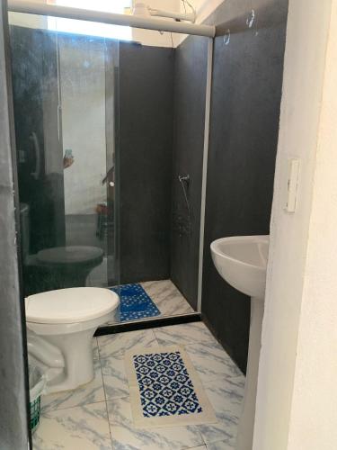 a bathroom with a shower and a toilet and a sink at Apartamento com Terraço na Gamboa do Morro in Cairu