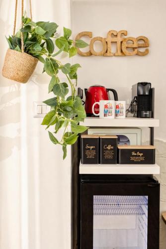 Mini Loft Capocci - Old
